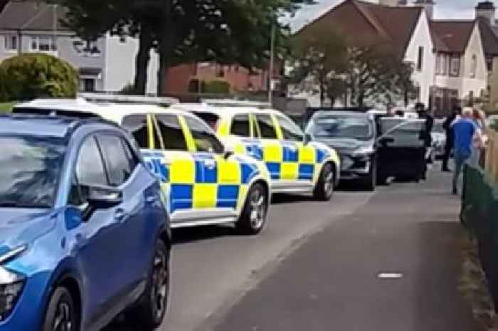 Armed police on Glasgow street after 'disturbance' as man arrested