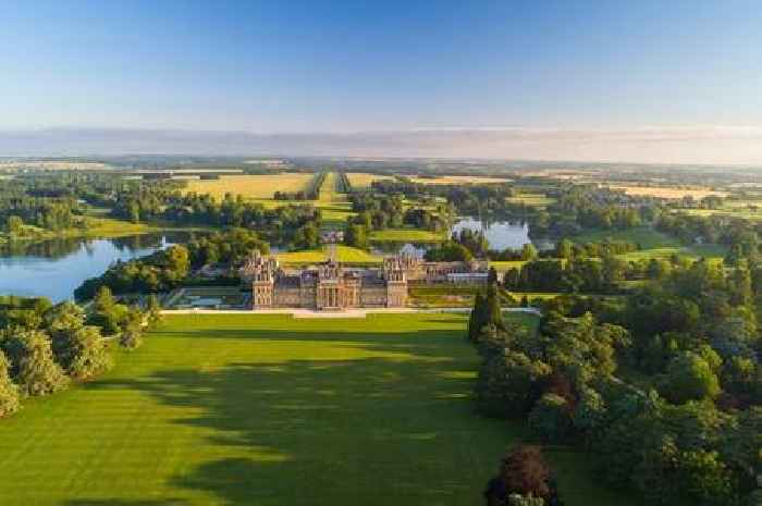 Win the ultimate family VIP experience at Blenheim Palace & an overnight stay at The Feathers Hotel