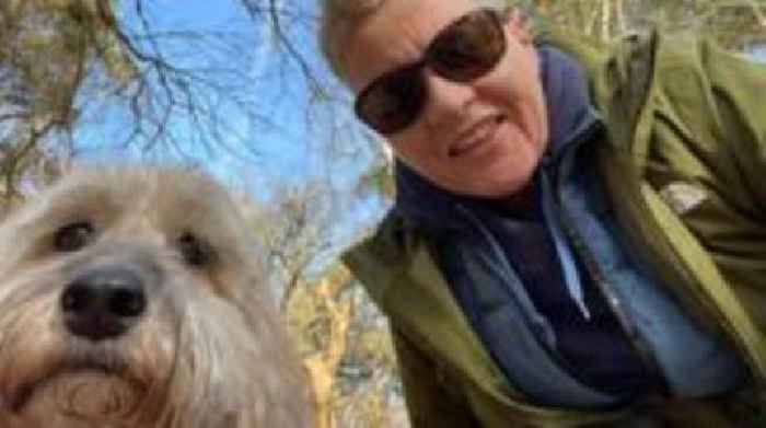 Call for law change after dog dies in attack