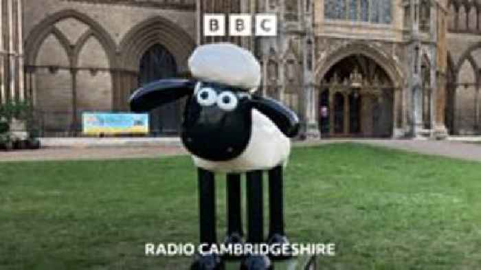 Shaun flocks to Peterborough