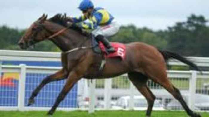 Trueshan death overshadows Scandinavia Goodwood win