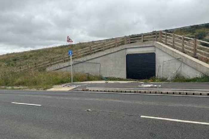 New A30 underpass in Cornwall is already being bricked up