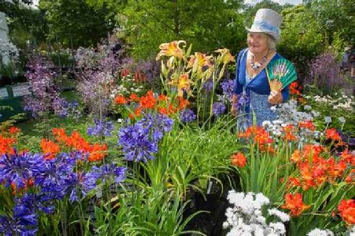 Taunton Flower Show: When is it, how to get there and everything you need to know