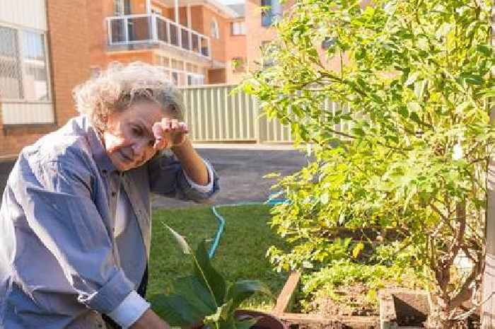 Householders warned of silent garden dangers hospitalising thousands each year