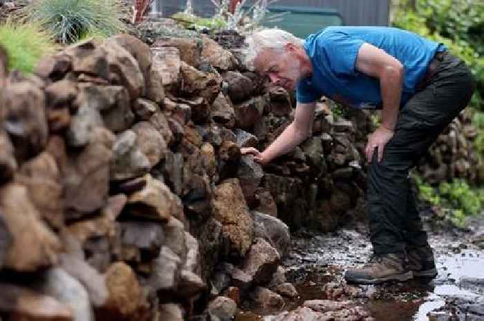 Huge storm brought down fence and uncovered forgotten feature in this garden