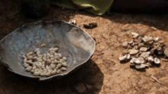 More than a dozen children die because of food shortages in Sudan camp - medics