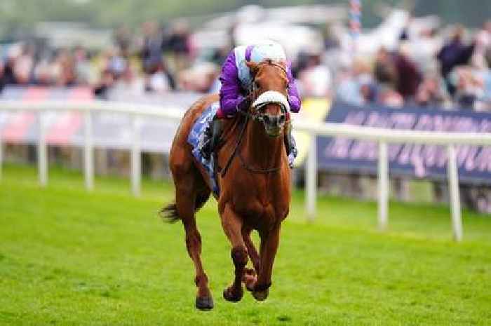 'I fancy an 18-1 shot to kick off day three' – Jason Heavey's Goodwood tips