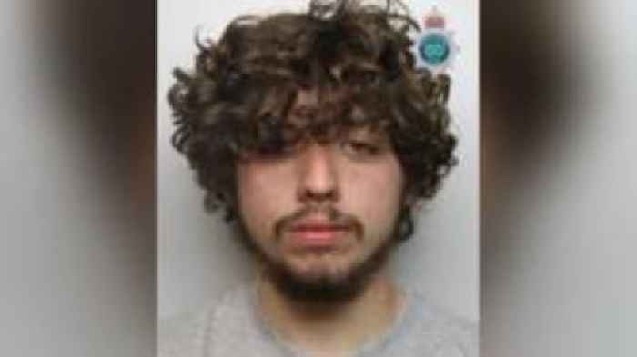 Man admits killing pedestrian in hit-and-run crash