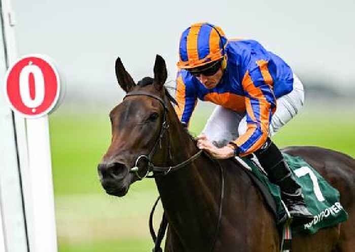 Whirl looks ready to leave her Nassau rivals in a spin