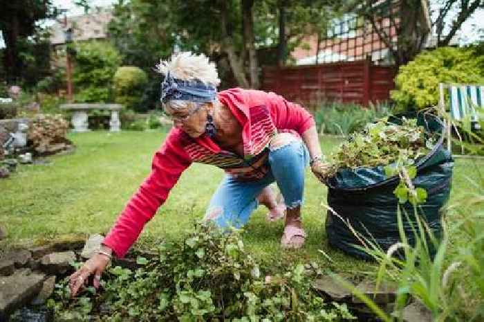 Gardeners told to use common household item to get rid of weeds
