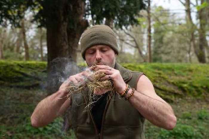 Pirate treasure and bug hunts await kids on wild island adventures
