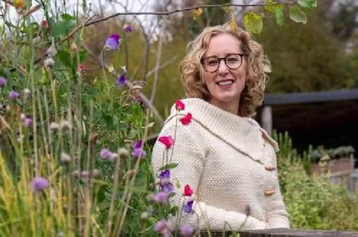 John Swinney playing 'old tune' on Scottish independence, claims Lorna Slater
