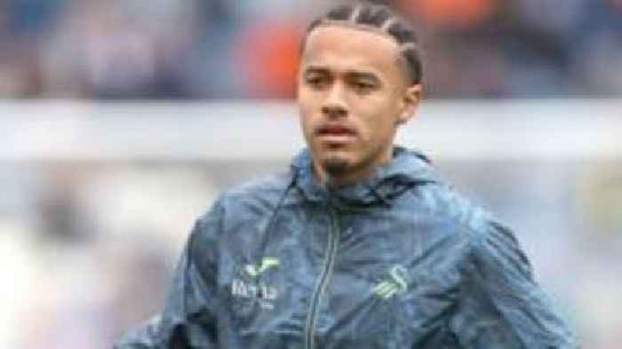 Portsmouth sign Swansea's Bianchini on loan
