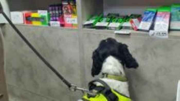 Arrest as police seize £20k of tobacco and vapes