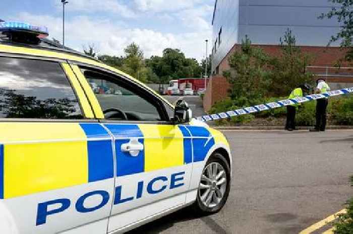 Eight children at summer camp taken to hospital after 'poisoning'