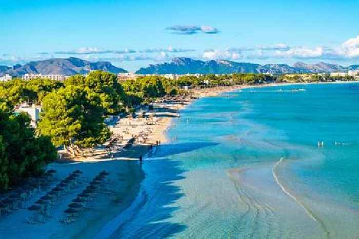 Spanish tourist hotspot struggling with foreign snake invasion