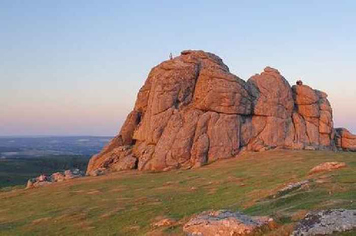 Devon's population gets larger - but younger