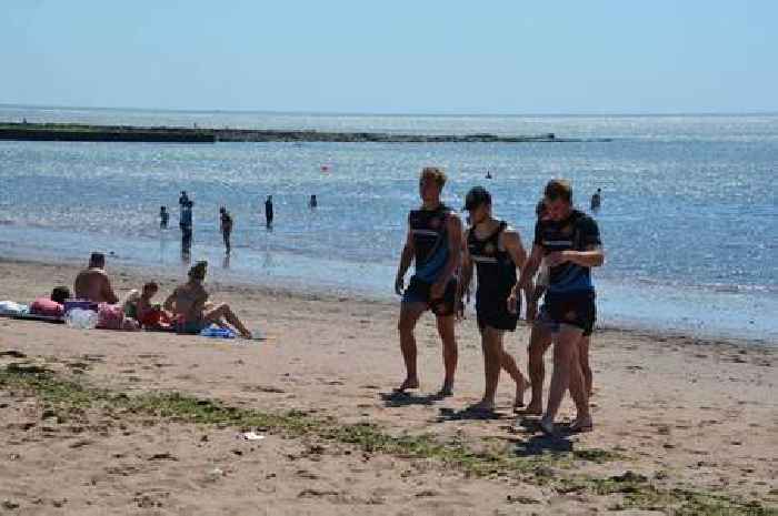 MP wants ‘cool hubs’ to stop deadly summer heatwaves