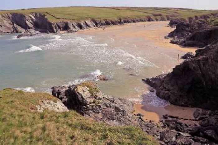 Children 'chase sheep off Cornwall cliff'