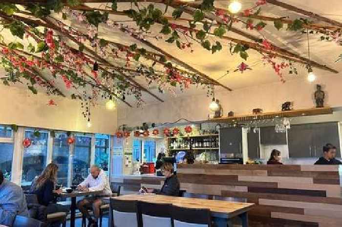 Saltash Asian restaurant given zero hygiene rating after 'active rat infestation'