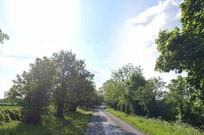 Van driver dies in crash with lorry