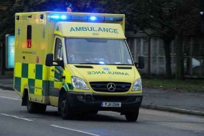Pensioner, 76, arrested on suspicion of poisoning children at a summer camp