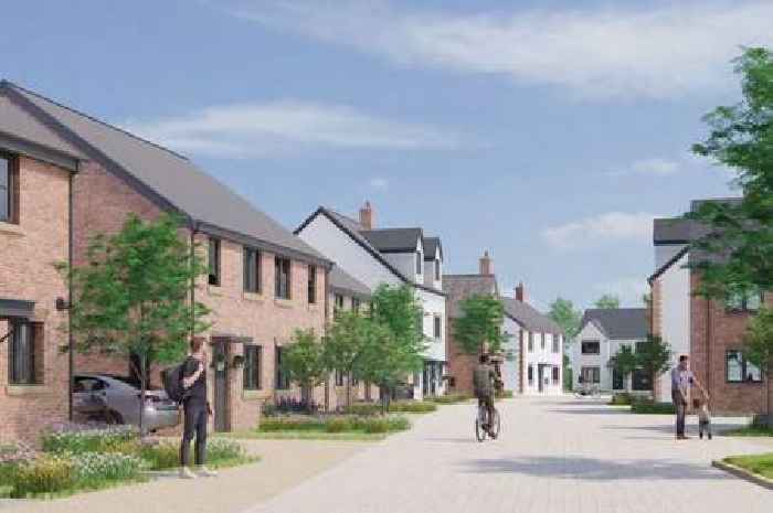 Plans to build over 300 homes on edge of Cambridgeshire town amid 'overdevelopment' concerns