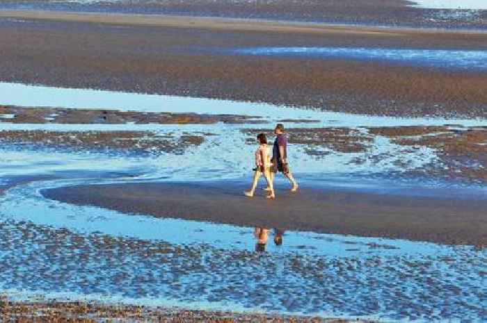 Woman walks on beach but nearly ends up with more than sand between her toes