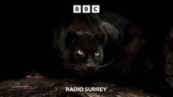 Secret Surrey