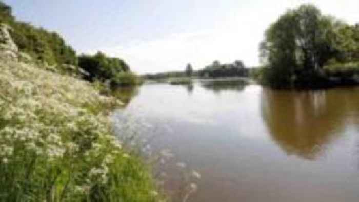 Toxic blue-green algae above warning level in lake