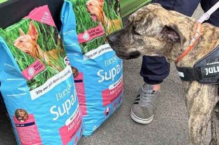 East Yorkshire pet food firm wants to support dog rescue centres and it needs your nominations