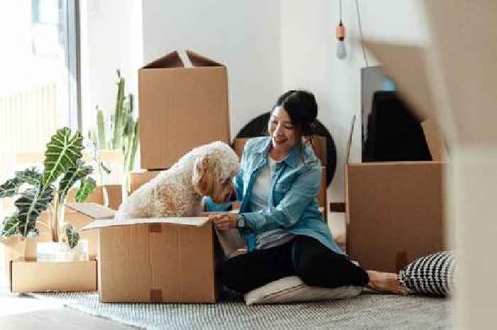 Nationwide, Santander and TSB cut mortgage rates in 'bold' move
