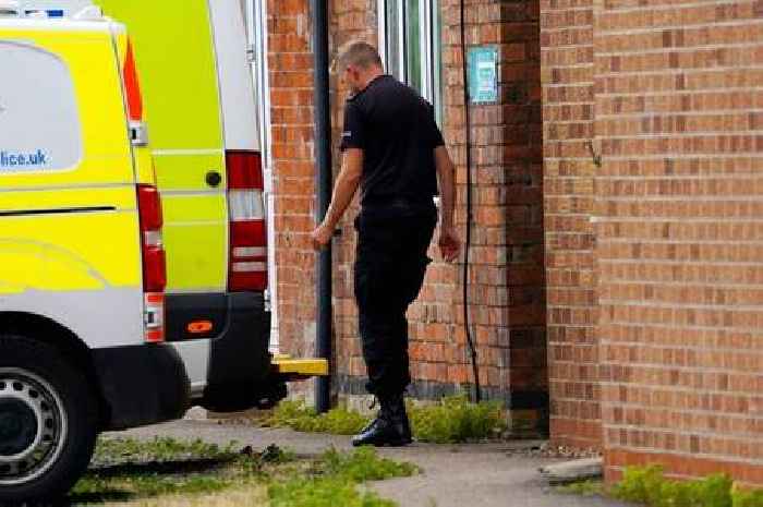 Man, 76, arrested on suspicion of poisoning eight children at Midland summer camp