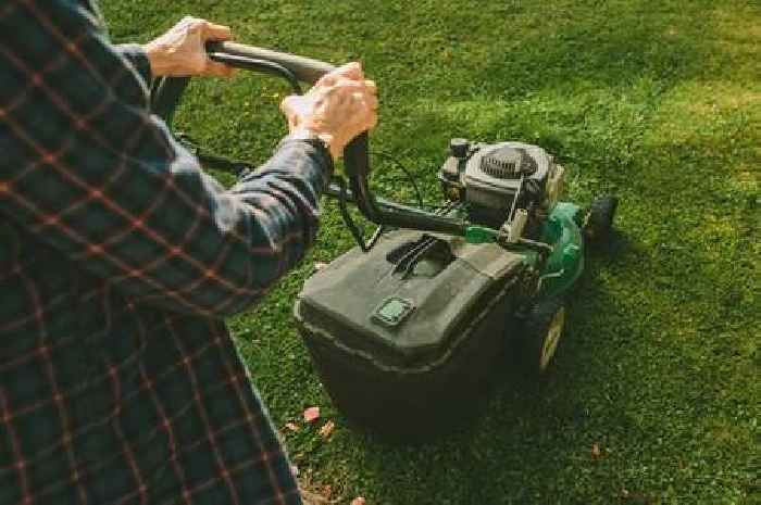 Easiest way to remove lawn weeds overnight - no chemicals needed