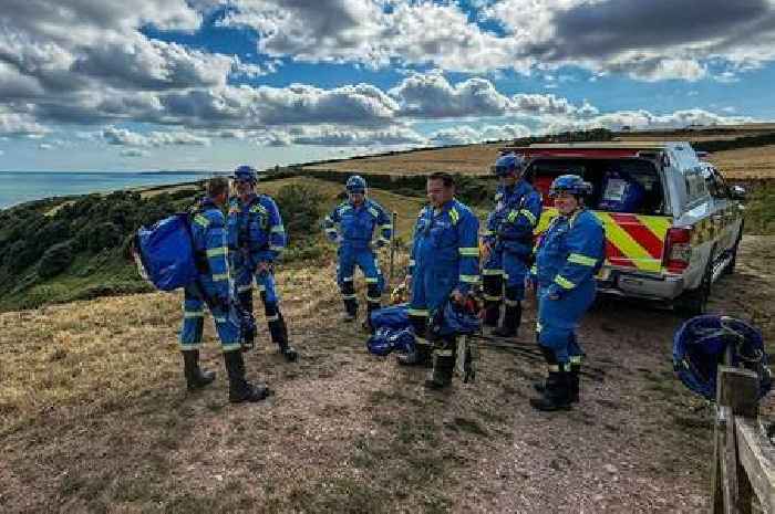 Dog plunges off Devon cliff