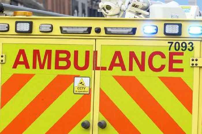 Two people rescued after car ploughs into fence