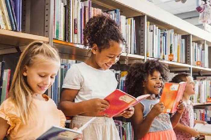 Somerset’s summer reading challenge gets kids lost in nature and books