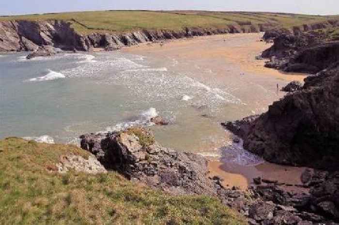 Children 'chase sheep off cliff' in shocking South West incident