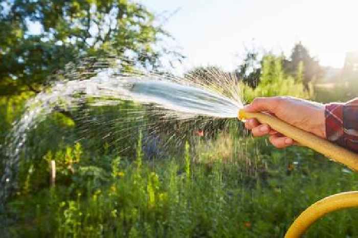Multiple households sent letters saying limit tasks to '4 minutes' amid hosepipe bans