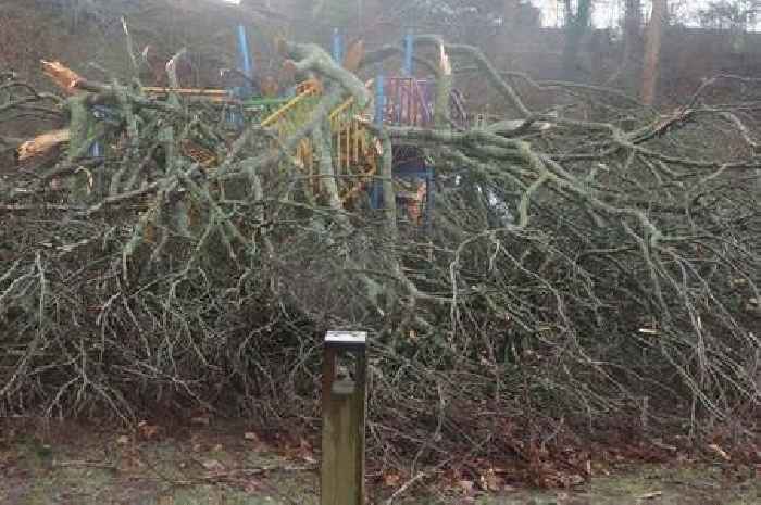 Storm Floris set to batter Dumfries and Galloway with 60mph winds as weather warning issued