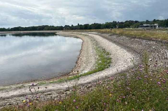 Dŵr Cymru addresses concerns about water levels at Cardiff reservoir