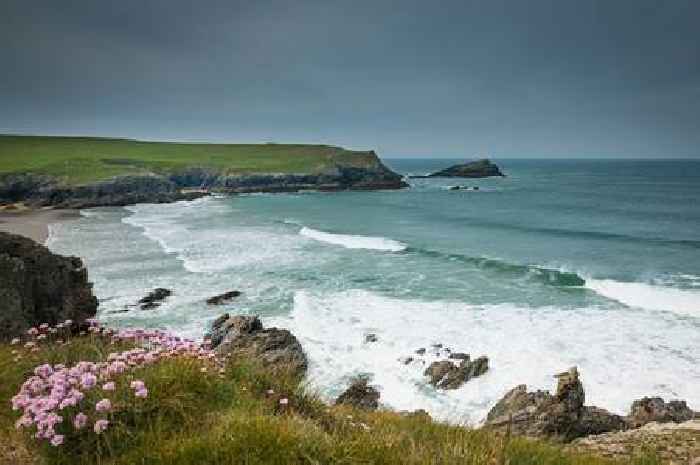 Police probe report 'children chased sheep off cliff' near tourist town