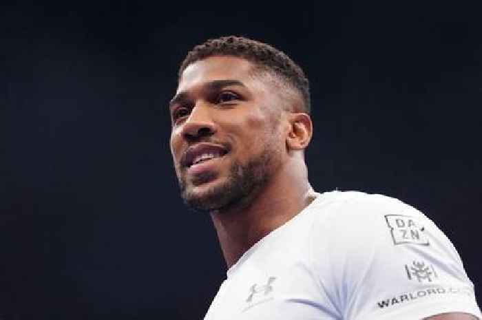 Anthony Joshua has already told fans what fighting Jake Paul would say about him