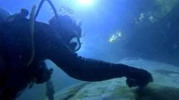 Divers clean a replica plane in aquarium tank