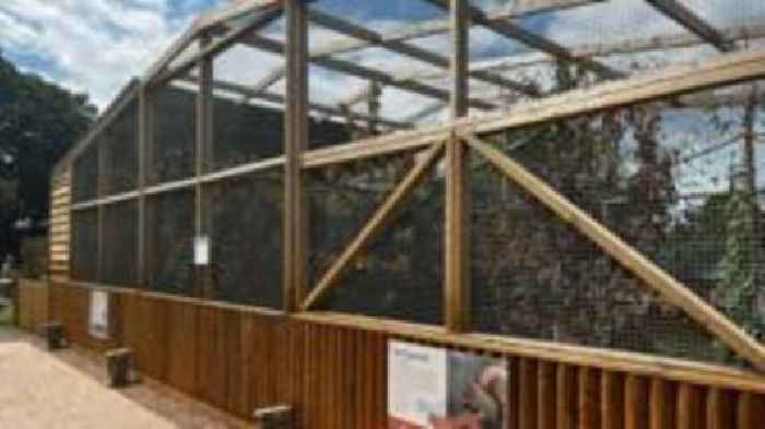 Red squirrels back in county at farm's new enclosure