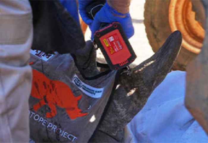 Animal Preservationists Are Injecting Rhino Horns With Radioactive Material to Stop Poachers