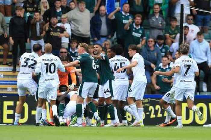 Plymouth Argyle pay heavy price for defensive mistakes in Barnsley defeat