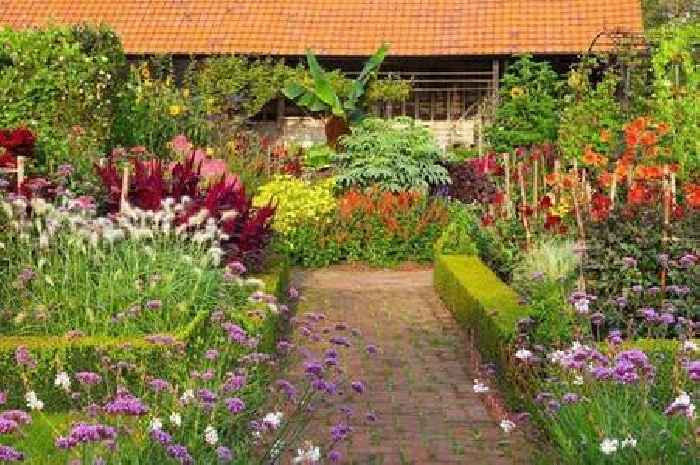 The beautiful hidden gem Essex gardens with a miniature railway