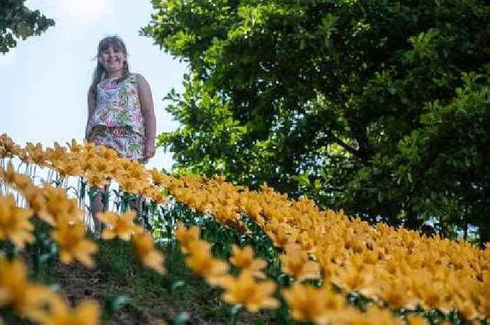 Every year a little girl buys a flower to remember her dad