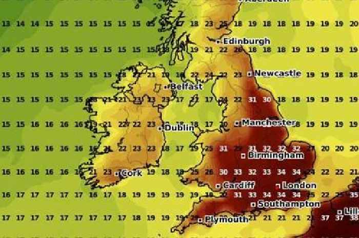 What Met Office says about 35C heatwave predictions as maps point to scorcher